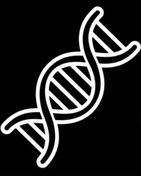 DNA chain